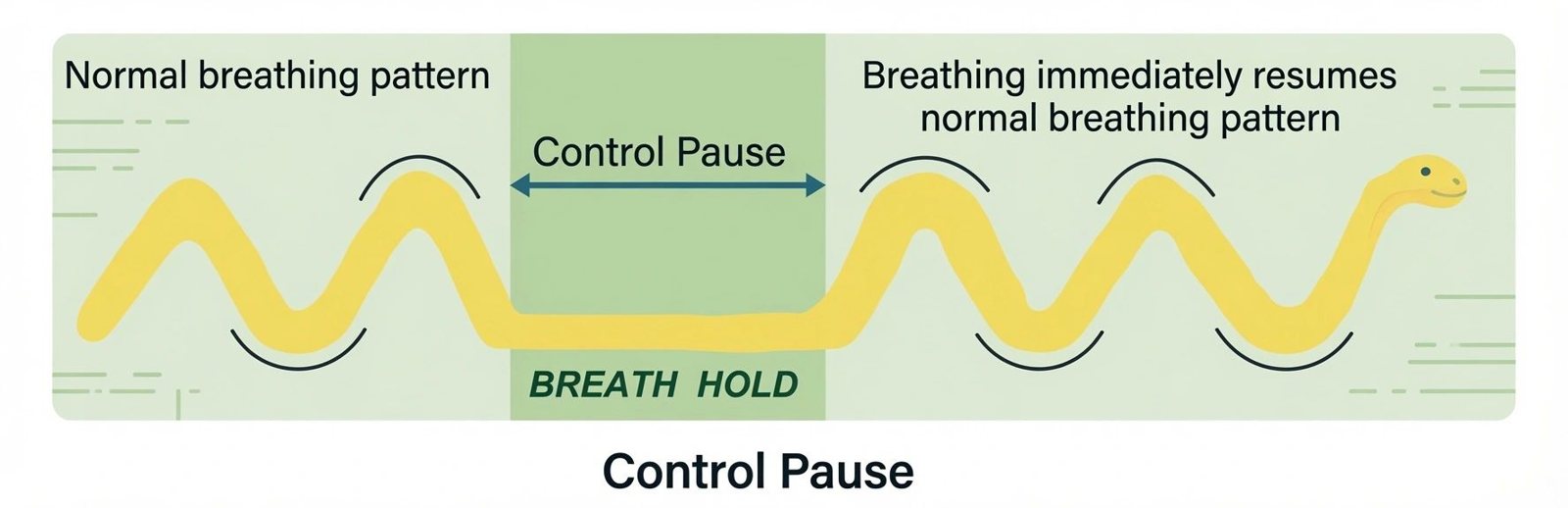 Illustration of control pause in breathing.